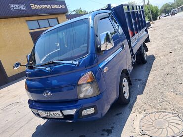 домик для кошек: Портер такси 🚕 Портер такси 🚕 Портер такси 🚕 Портер такси 🚕 Портер