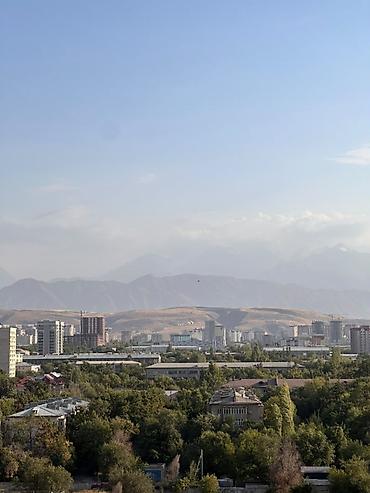 тыныстанова донецкая: 3 комнаты, 80 м², Юг-2 мкр Элитка, 11 этаж — 3