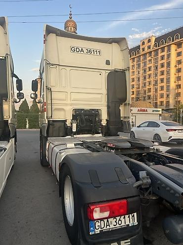 даф одиночка: Тягач, DAF, 2020 г. — 9
