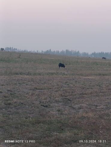 посуточно аламедин 1: 1 комната, 40 м², 3 этаж, Старый ремонт