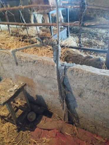 Продажа домов: Дом, 12 м², 4 комнаты, Собственник — 4