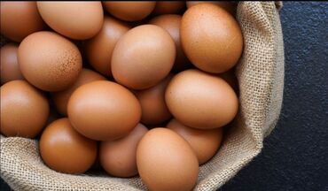 devequsu yumurtasi: Mayalı toyuq yumurtası ALIRAM
Kimde varsa whatsapdan yazsin