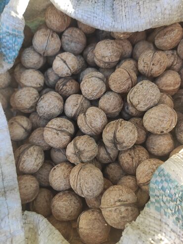 сухофрукты в ассортименте: Продам орехи, урожай 2023-в наличии 1.5 мешка