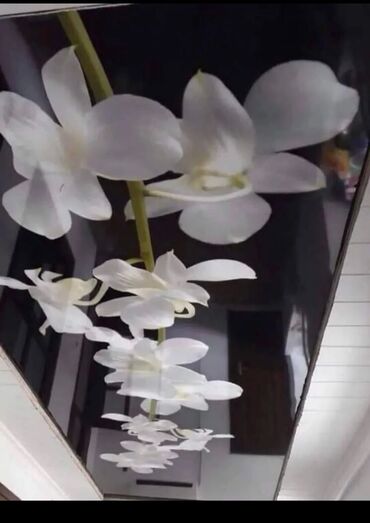 Натяжной потолок: Натяжной потолок Глянцевое, Матовое, 3D потолки Бесплатный замер — 10