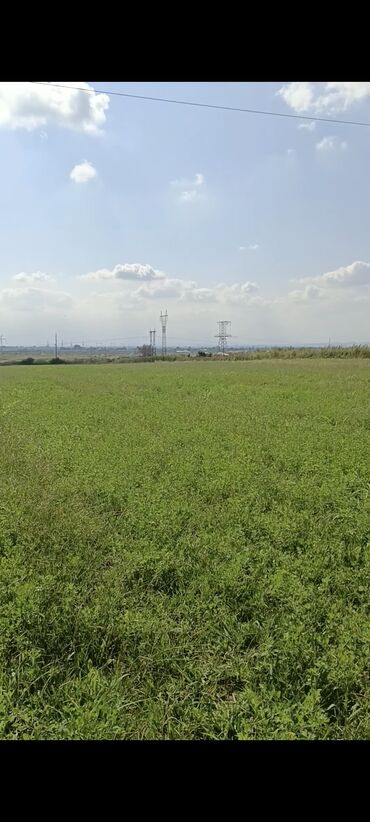 Torpaq sahələrinin satışı: 243 sot, Kənd təsərrüfatı, Mülkiyyətçi, Kupça (Çıxarış) — 1