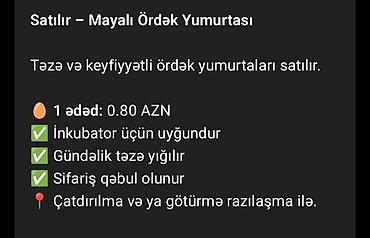 en ucuz perde: Ünvan şirvan yerli Pekin lal ördəy yumurtası qarışığ — 1
