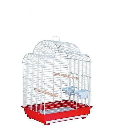 Digər quşlar: ✨ Hazır sarı e lquşlarıdanişdirmaq tam rahat olurr satışda! 🐦✨ Parlaq — 7