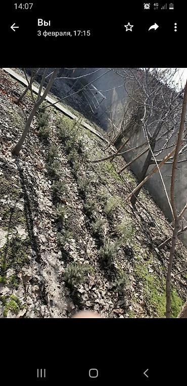 Продажа коттеджей и домов: ПРОДАЕТСЯ ДОМ ИДЕАЛЬНО ПОД БИЗНЕС ПО ГЛАВНОЙ ЦЕНТРАЛЬНОЙ ТРАССЕ 6 — 14