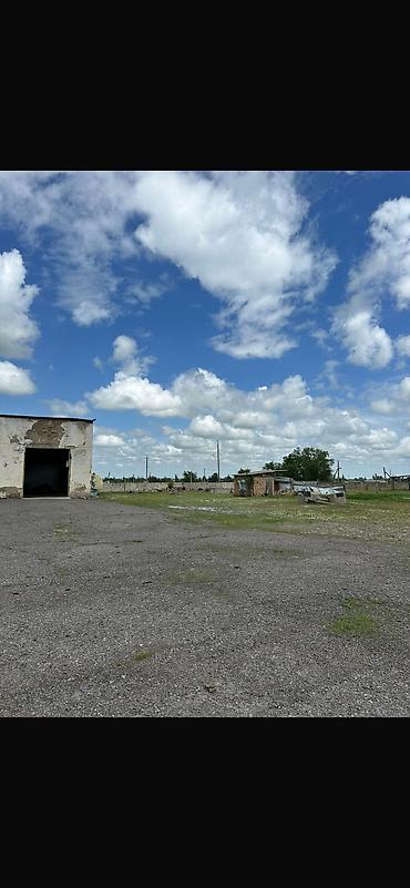 Продажа коттеджей и домов: Продам большой участок с домом в два этажатерритория 2 га,есть — 3