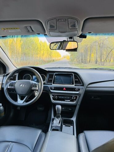 бампер на соната: Hyundai Sonata: 2019 г., 2 л, Автомат, Газ, Седан