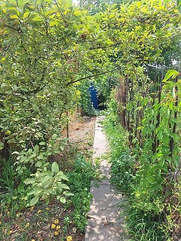 Продажа дач: Срочно продаётся 2-х комн. дачный дом с земельным участком 5 соток в — 4