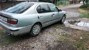 спойлер альтеза: Nissan Primera: 1999 г., 2 л, Автоматтык, Газ, Хетчбек