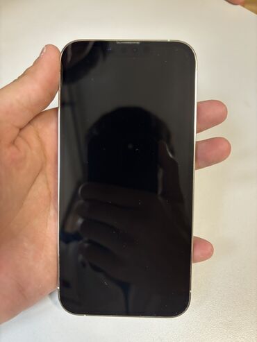 xr чехол: IPhone 13 Pro, Колдонулган, 256 ГБ, White Titanium, 94 %