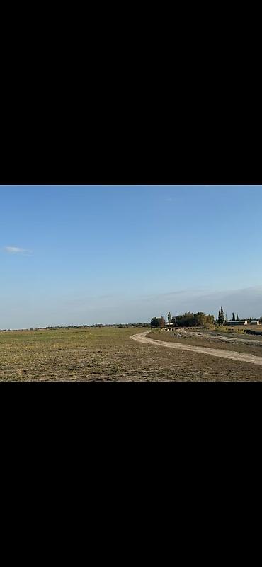 оптовый товар: Farm КРС, 97 соток, Действующий, Частично с оборудованием, Электричество, Скважина — 4