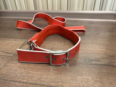 купить ошейник для щенка: Комплекты ошейник+поводок для крупных собак. Ширина ленты 4 см