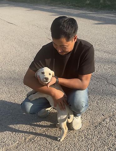 продаю опилку: 🐶 Ищем любящую семью для лабрадора-ретривера! ❤️ Щеночку 2,5 месяца — 1