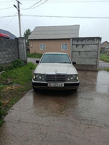 weltmeister meteor: Mercedes-Benz W124: 1989 г., Седан — 3