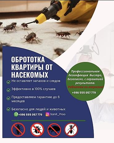 Дезинфекция, дезинсекция, | Блохи, Вирусы, микробы, Клопы, | Кафе, магазины, Дома, Квартиры