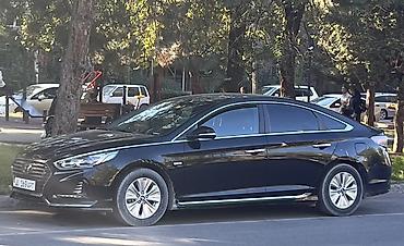 соната 2 4 бензин: Hyundai Sonata: 2018 г., 2 л, Автомат, Гибрид, Седан — 3