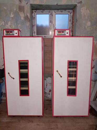 bakida cins ineklerin satisi: İnkubator 1000 yumurtalıq zakasla yigilir çıxış faizi 85-90 fayizi