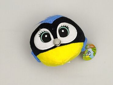 koszulka pikachu: Mascot Bird, condition - Perfect