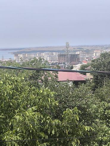lenkeranda satisda olan evler: 5 otaqlı, 150 kv. m, Yeni təmirli — 6