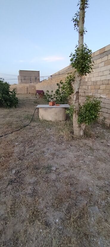 Torpaq sahələrinin satışı: 12 sot, Tikinti, Maklerlər narahat etməsin, Kupça (Çıxarış), Texniki pasport -da lalafo.az — 11 Torpaq sahələrinin satışı: 12 sot, Tikinti, Maklerlər narahat etməsin, Kupça (Çıxarış), Texniki pasport — 11