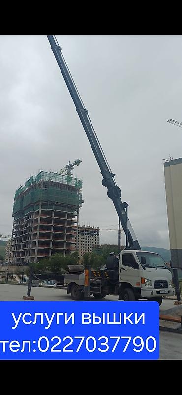 put up: Услуги автовышки (гидроподъёмник на базе грузовика). Подходит для: - — 2