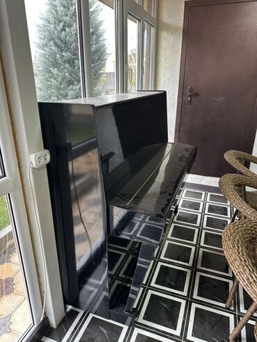 микрофон с колонкой: Акустическое пианино Беларусь (вертикальное, “спинет/ундеррайт”)