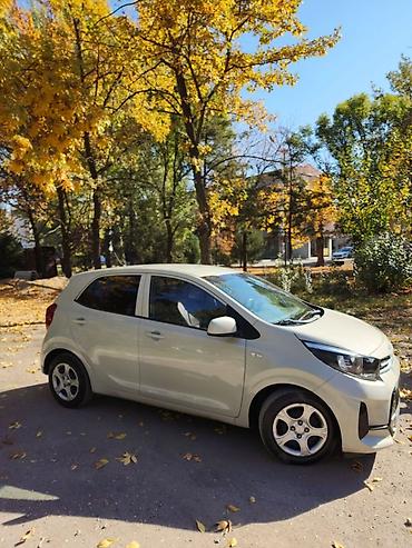 дверь на киа рио 3: Kia Picanto: 2019 г., 1 л, Автомат, Бензин, Хэтчбэк — 6