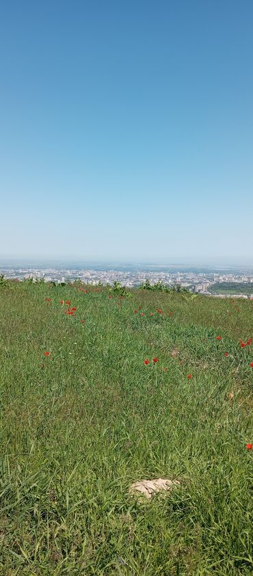 участок акжар: 1 соток