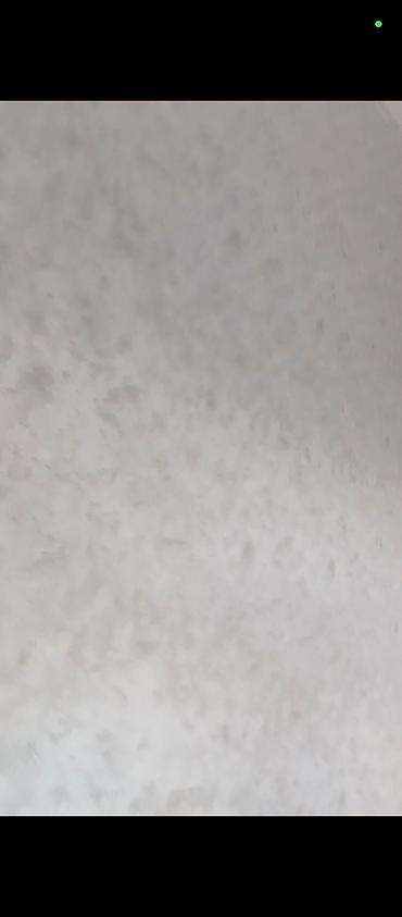 Malyar işləri: Malyar ustası şpoklyovka paduqa emusiya işleri görürük 2 nəfərik cəld -da lalafo.az — 3 Malyar işləri: Malyar ustası şpoklyovka paduqa emusiya işleri görürük 2 nəfərik cəld — 3