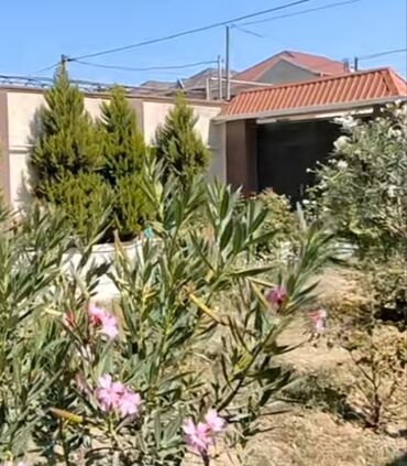 Həyət evləri və villaların satışı: 4 otaqlı, 180 kv. m, Kredit yoxdur, Yeni təmirli -da lalafo.az — 17 Həyət evləri və villaların satışı: 4 otaqlı, 180 kv. m, Kredit yoxdur, Yeni təmirli — 17