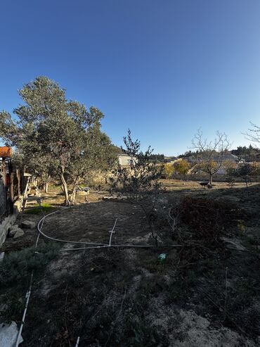 Həyət evləri və villaların satışı: Fatmayı 4 otaqlı, 100 kv. m, Kredit yoxdur, Orta təmir -da lalafo.az — 11 Həyət evləri və villaların satışı: Fatmayı 4 otaqlı, 100 kv. m, Kredit yoxdur, Orta təmir — 11