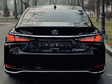 Lexus: Lexus ES: 2021 г., 2.5 л, Автомат, Бензин, Седан — 9