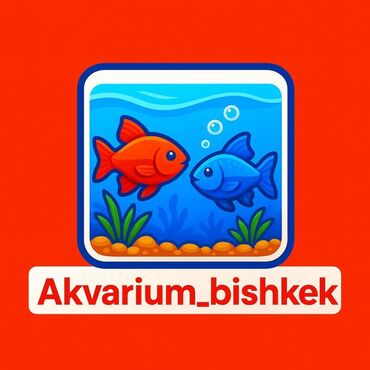 Үй жаныбарлары: Рыбки Аквариумные, Аквариумы, Оборудование, Аксессуары Богатый опыт в
