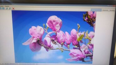 Натяжной потолок: Натяжной потолок 3D потолки Монтаж, Гарантия, Демонтаж — 12