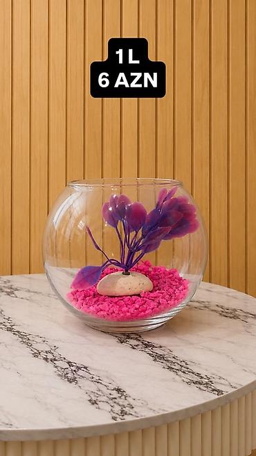 akvarium baliqlari satisi: Yumru akvarium, 1 l, Ünvandan götürmə, Pulsuz çatdırılma, Ödənişli çatdırılma — 3