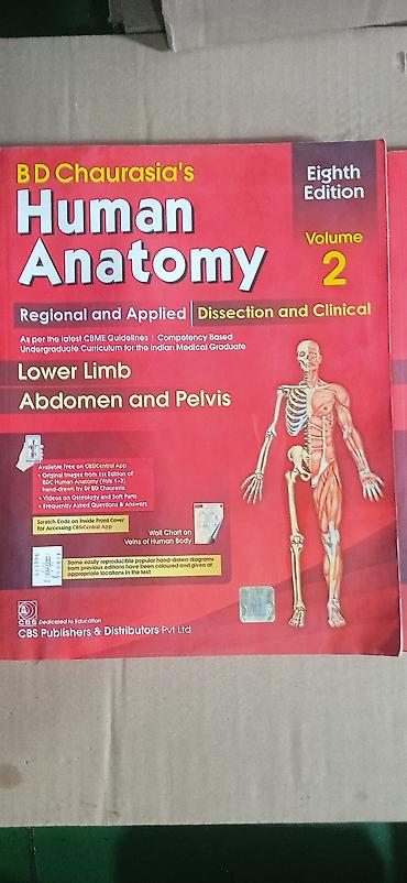 анатомия руля: BD Chaurasia’s Human Anatomy, 8-е издание — комплект из 3 томов — 2