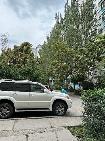 Долгосрочная аренда квартир: 2 комнаты, Собственник, Без подселения, С мебелью полностью — 13