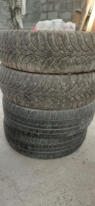 185 65 14: Комплект зимних шин с шипами 185/65 R14 - Марка/модель:Tunga Nirdway — 1