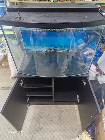 Akvariumlar: Akvarium-şkaf, Boş, 210 l, Ödənişli çatdırılma, Pulsuz çatdırılma — 2