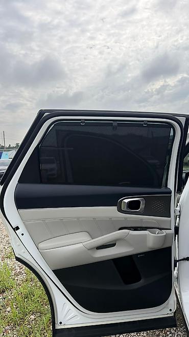 Kia: Kia Sorento: 2020 г., 1.6 л, Автомат, Гибрид — 16