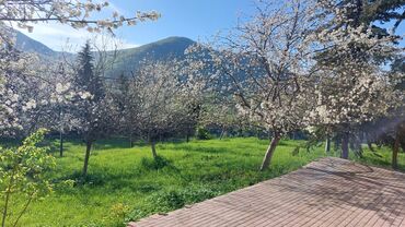 Bağ evlərinin kirayəsi: 200 kv. m, 5 otaqlı, Hovuzlu, Telefon, İnternet, İşıq -da lalafo.az — 5 Bağ evlərinin kirayəsi: 200 kv. m, 5 otaqlı, Hovuzlu, Telefon, İnternet, İşıq — 5