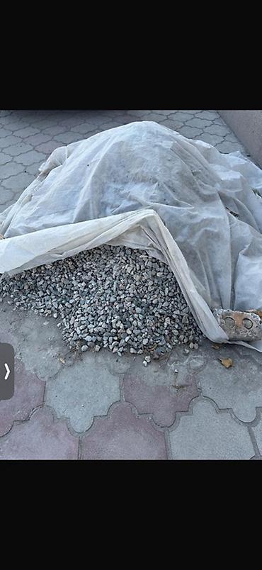 слив малол: Отдадим даром — 1