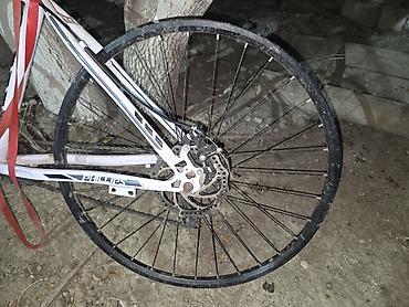 İdman velosipedləri: Phillips Mountain Bike velosiped Mtb velosiped dağ velosipedi — 3