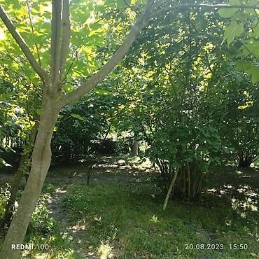 Продажа участков: 25 соток, Купчая — 3