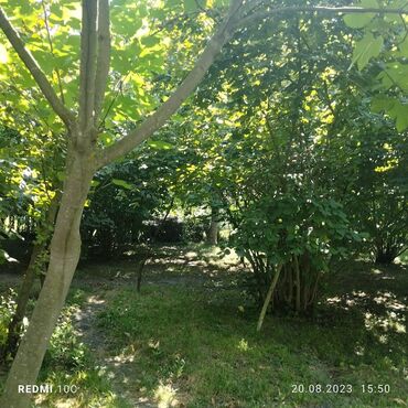 Torpaq sahələrinin satışı: 25 sot, Kupça (Çıxarış) -da lalafo.az — 13 Torpaq sahələrinin satışı: 25 sot, Kupça (Çıxarış) — 13