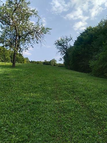 Torpaq sahələrinin satışı: 92 sot, Biznes üçün, Mülkiyyətçi, Kupça (Çıxarış), Bələdiyyə, Müqavilə — 22