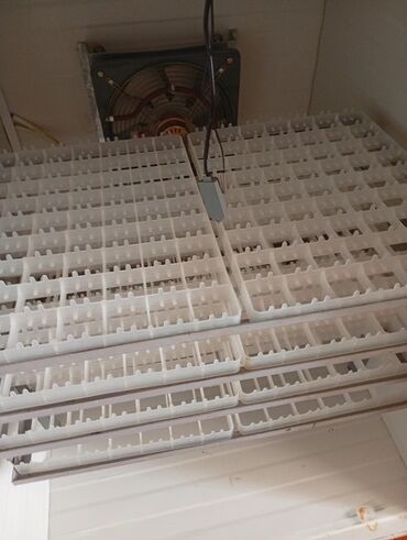 İnkubatorlar: Böyük həcmli avtomatik inkubator komplekti.tam işlək vəziyyətdədir.504 — 5